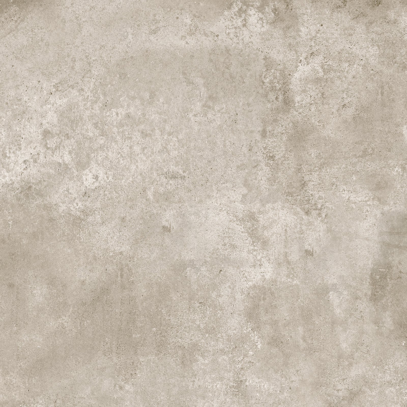 cavani gris