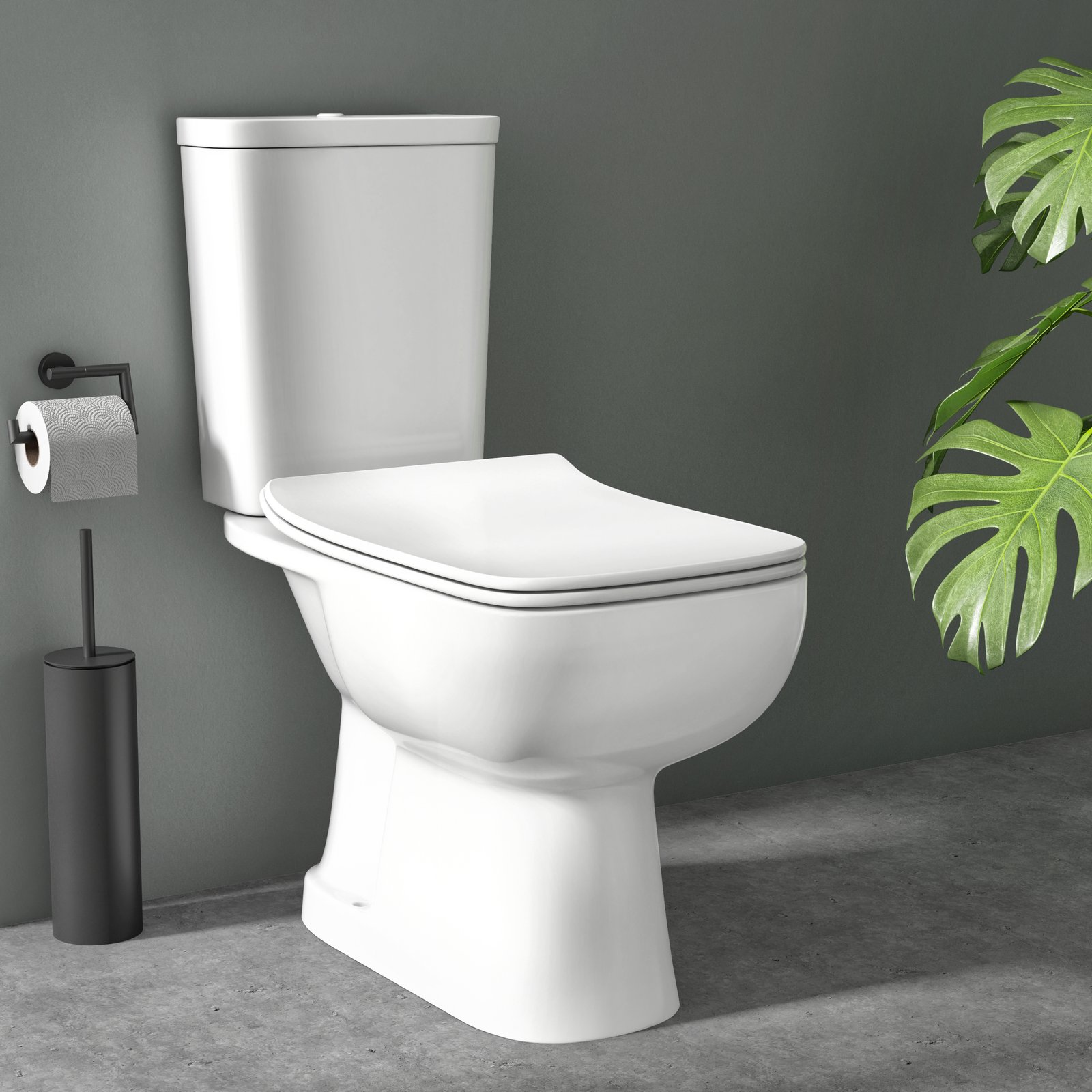 zoom cuvette olympia_03