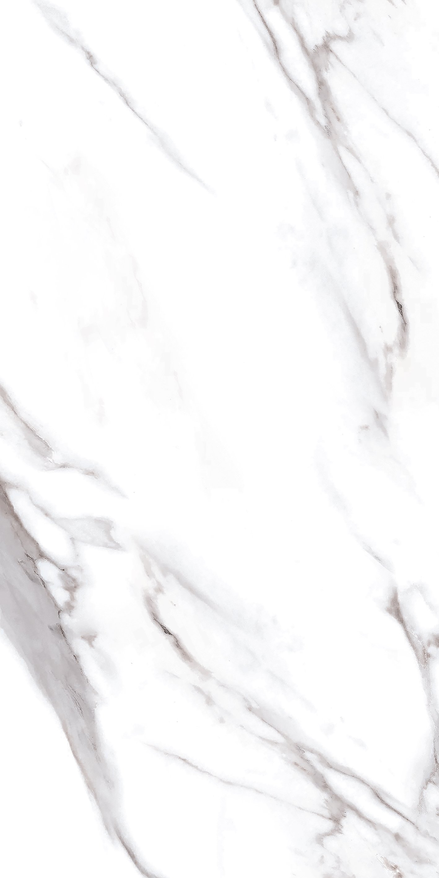 elegance blanc